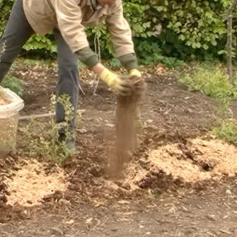 Gjødsel til blåbær Gjødsel til blåbær